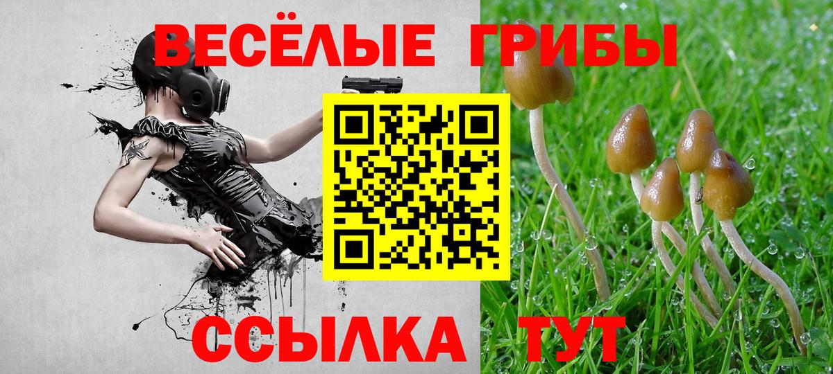 Галлюциногенные грибы GOLDEN TEACHER Белореченск